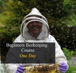 One Day Beginners Introduction To Beekeeping